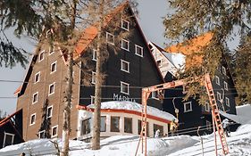 Маріна Драгобрат